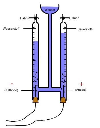 Hofmann