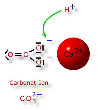 Hydrogencarbonat wird_protoniert