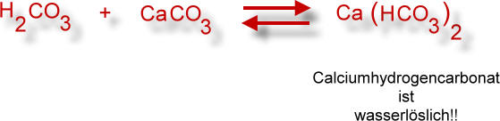 bildung-hydrogencarbonat-einfach