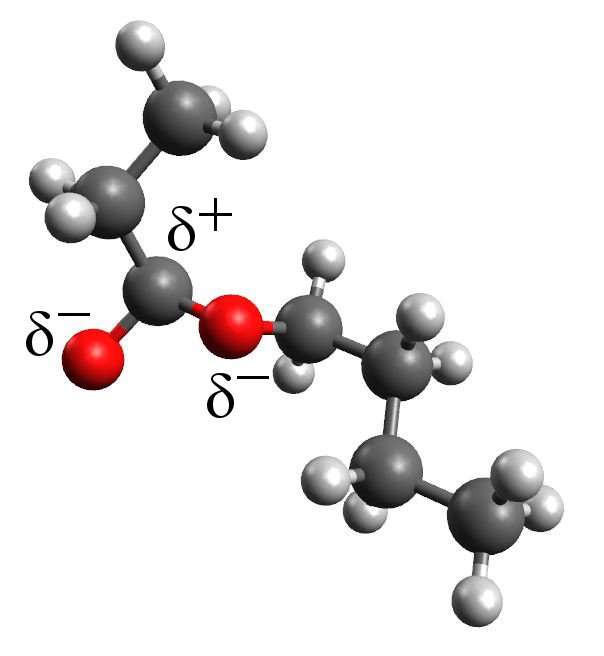 propansaeurebutylester-molekuel