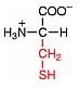 z-cystein