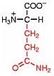 z-glutamin