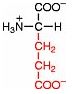 z-glutamins