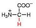 z-glycin