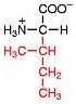 z-isoleucin