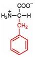 z-phenylalanin