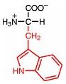 z-typtophan