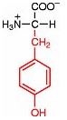 z-tyrosin